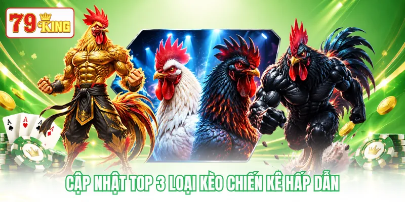 Cập nhật top 3 loại kèo chiến kê hấp dẫn Cập nhật top 3 loại kèo chiến kê hấp dẫn